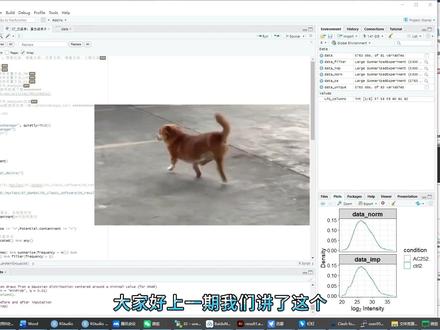 用R过滤maxquant处理后的数据 #生信分析 #蛋白组学 #R实操 #maxquant #医学科研