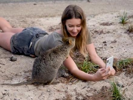 组团去合影吧#dou出新知 #萌宠