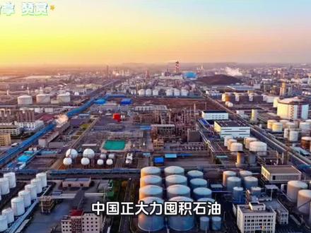 东大疯狂囤积石油背后的战略储备#大国博弈#国际局势 #进口石油