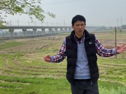 庐江陈埠农田里发现一座古城遗址,当年谁修建的?到底是干嘛用的,有什么民间传说? #探秘 #历史古迹 #农村 #现场实拍 #奇闻异事