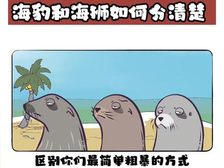如何分清楚海豹、海狮和海狗?#星河知识计划 #璀璨科学星 @抖音青少年