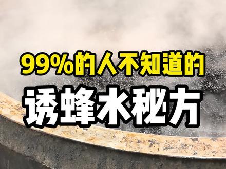 99%的人都不知道的诱蜂水秘方!速看! #诱蜂 #诱蜂水 #蜜蜂 #蜜蜂养殖