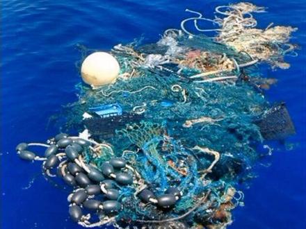 什么是OBP海洋塑料认证?#环保 #海洋 #OBP认证#自然 #海底世界 #再生 #pet @DOU+小助手 #上热门 #海洋生物