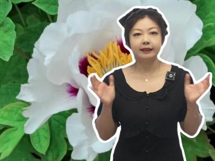 七下想学好,开学先背这些图! #初中生物 #知识点 #必考图 #七下生物 #学霸