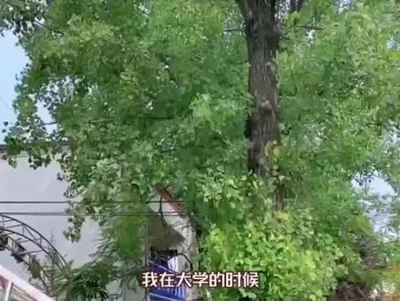 终于落编了,过来人告诉你三支一扶的真实情况...|事业编面试|