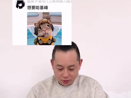神奇的哈基蜂#哈基蜂 #玩偶 #三角洲