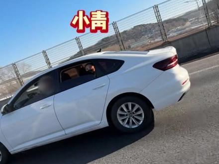 服务区偶遇被遗落的毛孩子,今日主线任务帮它回家!#毛孩子 #安全驾驶 #高速服务区看到的一幕