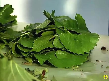 早期手艺人用蚕茧纺纱织布 #制作过程 #传统手艺 #手艺人 #纺纱