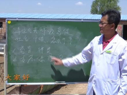 羊呼吸急促怎么办?