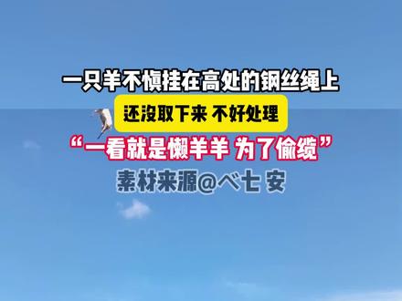 一只羊不慎挂在高处的钢丝绳上#你永远不知道你在抖音里的角色 #羊了个羊 #家人们谁懂啊