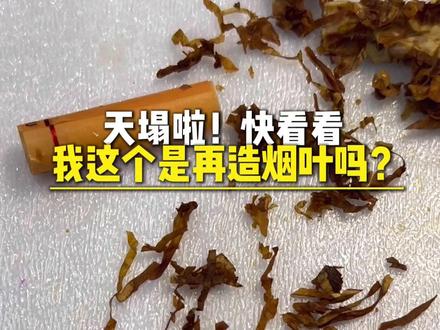 我的妈呀?快看看我这是烟叶吗?🥲🥲#再造烟叶 #吸烟有害健康传播正能量 #戒烟 #健康守护计划