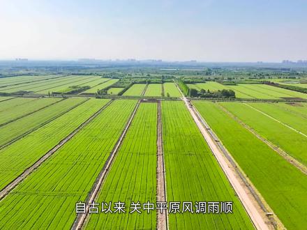 关中平原是怎么形成的?包括那些区域? #关中平原 #地理知识 #地理 #立体地图 #三维地图 #地理知识