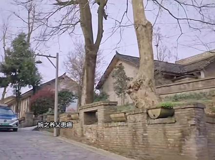 大结局,婉之养父患癌去世,捡了一个女孩由婉之抚养