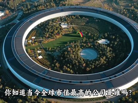 【完整版】2023全球市值最高的10家公司,老美强势霸榜 #世界500强 #谷歌 #苹果 #商业 #企业