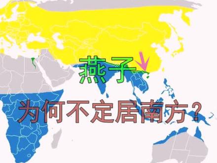 燕子每年往南飞,为什么不直接定居在热带?