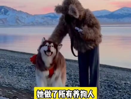 一直期待和我家狗子穿亲子装 #阿拉斯加 #毛衣 #diy #狗狗的心思都写在脸上了 #萌宠