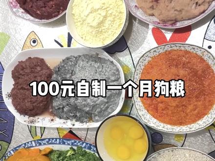 自制狗粮,在家也能做,健康又卫生!#边牧安妮 @DOU+小助手