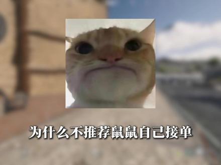 为什么不推荐鼠鼠自己接单?#三角洲行动 #三角洲 #鼠鼠