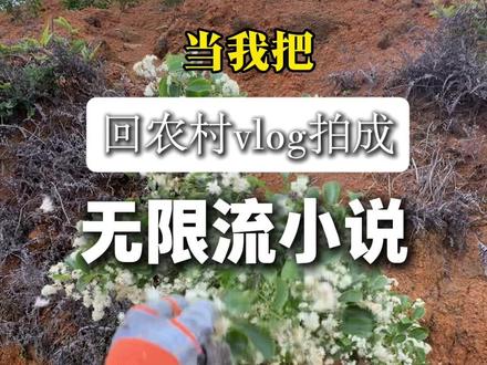 全网求【腰酸茶园】副本npc攻略教程❗️❗️ #无限流#vlog#地球online#惊封