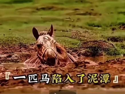 勇敢的站起来,其实这个世界上,水很浅的。