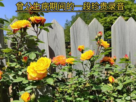 曾公留给我们的一段非常珍贵的录音#曾仕强教授#传统文化 #传扬中华文化