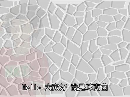 当喜羊羊和柯南一起参加考试,一支给你的视频