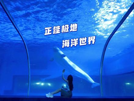 想要成为旅游博主之模仿@房琪kiki 的海底世界,有几分像?#旅行推荐官 #旅行大玩家 @DOU+小助手 @抖音小助手