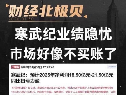 寒武纪业绩隐忧 市场好像不买账了 #寒武纪 #股票 #业绩 #半导体