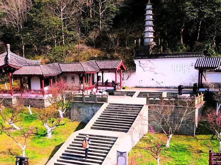 只要27,北仑九峰山梅花开了 #北仑九峰山#九峰山梅游烦恼#宁波甬行游#梅花 #不一样的视角✈️