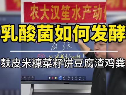 乳酸菌如何发酵麸皮米糠菜籽饼豆腐渣#水产养殖 #水产人 #水产养殖技术