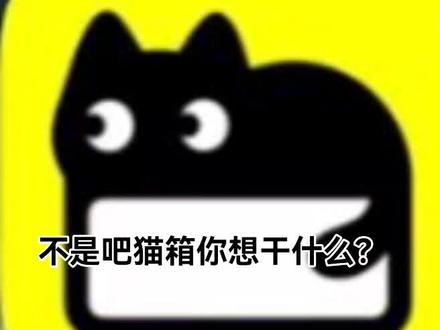 #猫箱 大家能帮忙推荐一下吗?谢谢了