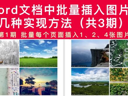 word文档中批量插入图片的方法,每个页面批量插入1、2、4张图片 #office办公技巧 #文档批量插入图片 #批量插入照片最简单的方法 #批量插入图片 #word批量插入图片 #word实用技能 #每页插入一张图片 #每页插入两张图片 #每页插入四张图片 #批量插入图片的方法