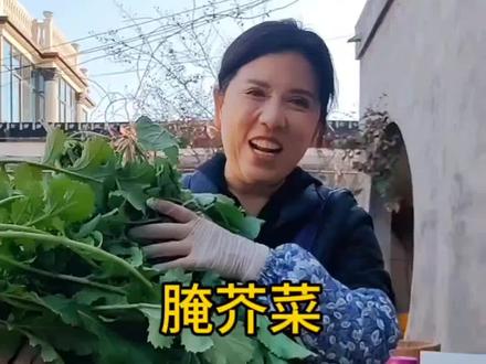 腌芥菜是奶奶传给我的方法!颜色翠绿不变色!串味十足!有的地方叫辣菜,你们那儿都叫什么?都是怎么腌制的?#芥菜 #腌菜 #农村美食 #美食教程 #地方特色美食