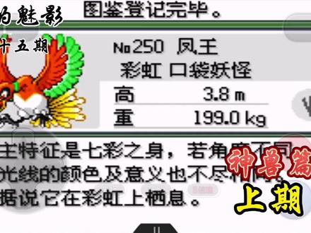 口袋妖怪漆黑的魅影25 捕捉各路神兽篇(上)