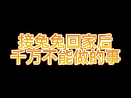 快看看新手养兔的你踩雷了吗?#新手养兔 #侏儒兔