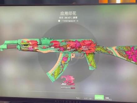 CS:GO AK47, 野荷