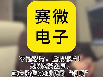 不是芯片胜似芯片!赛微电子这家公司正在掐住6G时代的“咽喉”