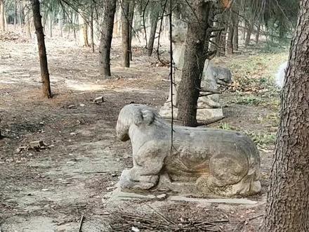 在一个树林子里发现了几个石像,这是做什么用的呢? #古石雕 #历史古迹 #城市记忆 #年代感 #器物之美