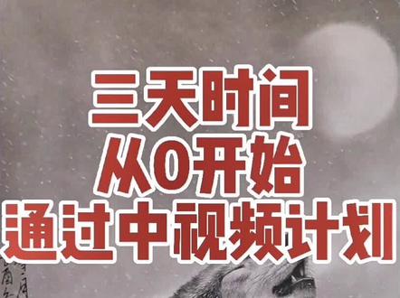 #创作灵感 新人想如何入手中视频伙伴计划?三天时间、用了72个小时审核通过,我做到了!很兴奋!