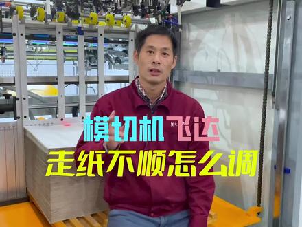 学会这份模切飞达调机通关宝典,李雨晴妈妈都会找你调机!#文洪机械 #文洪高速裱纸机 #文洪糊盒机 #模切机 #印刷包装 #包装机械 #李雨晴妈妈