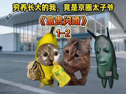 《富贵闪婚》1-2,第一集被抬走了,来个合集哈!#猫meme #猫meme小剧场
