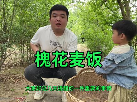 老家的洋槐花开了,来自大自然的馈赠,蒸好配蒜苔绿辣子美的很 #乡村味道 #洋槐花