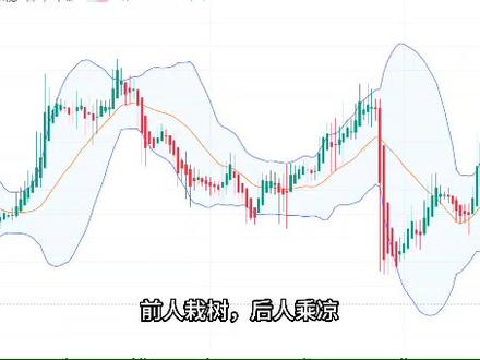 两步教你学会使用布林带指标#外汇黄金 #交易指标 #交易 #实盘操作 #行情分析