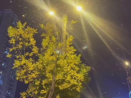 25岁可以和30岁谈恋爱 可是18岁却不能和22岁谈恋爱