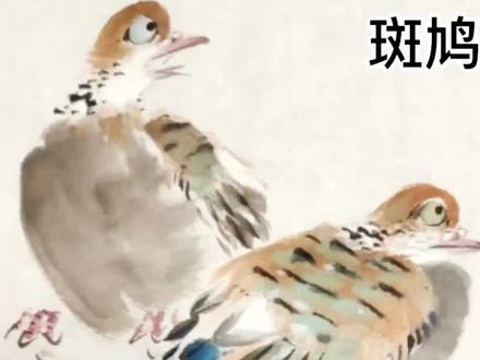 干货继续!斑鸠画法。#热门#写意花鸟#充能计划#谁说国画不抖音 #教程 #原创 @抖音文化站 @抖音小助手