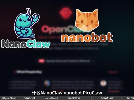 捅了龙虾窝了!各种版本的小龙虾(openclaw)要怎么选? #openclaw #picoclaw #mimiclaw #nanobot #zeroclaw