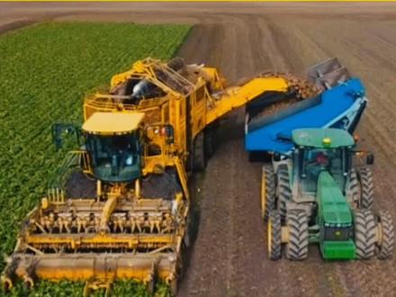 高效的甜菜收割机组合,每小时能完成50亩地,250吨甜菜的收割任务#现代农业机械 #智慧农业 #甜菜收割机#纪录片 #看世界