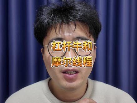 聊聊杠杆牛和摩尔线程