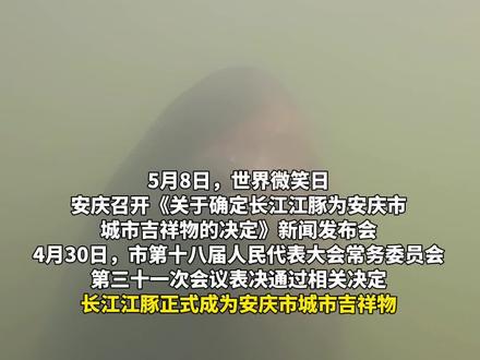 安庆确定长江江豚为城市吉祥物 #安庆 #江豚