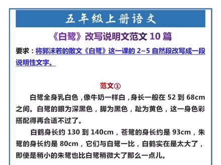 五年级下册语文《白鹭》改写说明文范文10篇 #小学语文 #五年级 #改写 #说明文